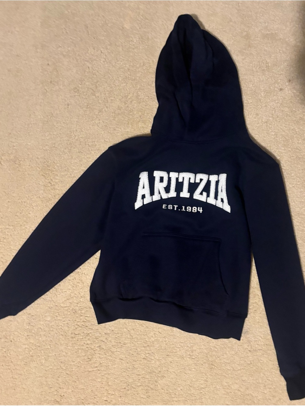Aritzia Navy Crewneck Hoodie with White Logo